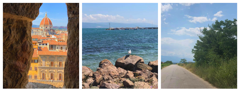 vue de Florence en Italie, oiseau en bord de mer sur île grecque et route en Bosnie